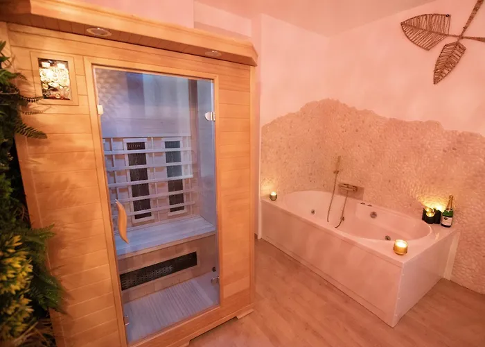 Confort ! Balneo, Sauna, Cinema, Climatisation, Parking, Wifi Apartment Carcassonne